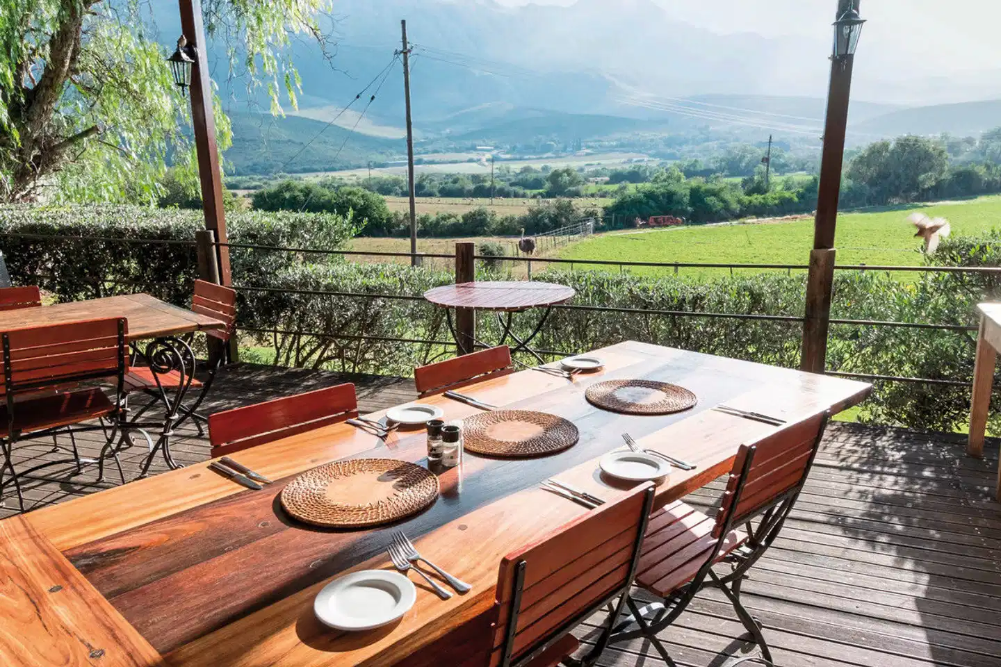Swartberg Country Manor Terrasse