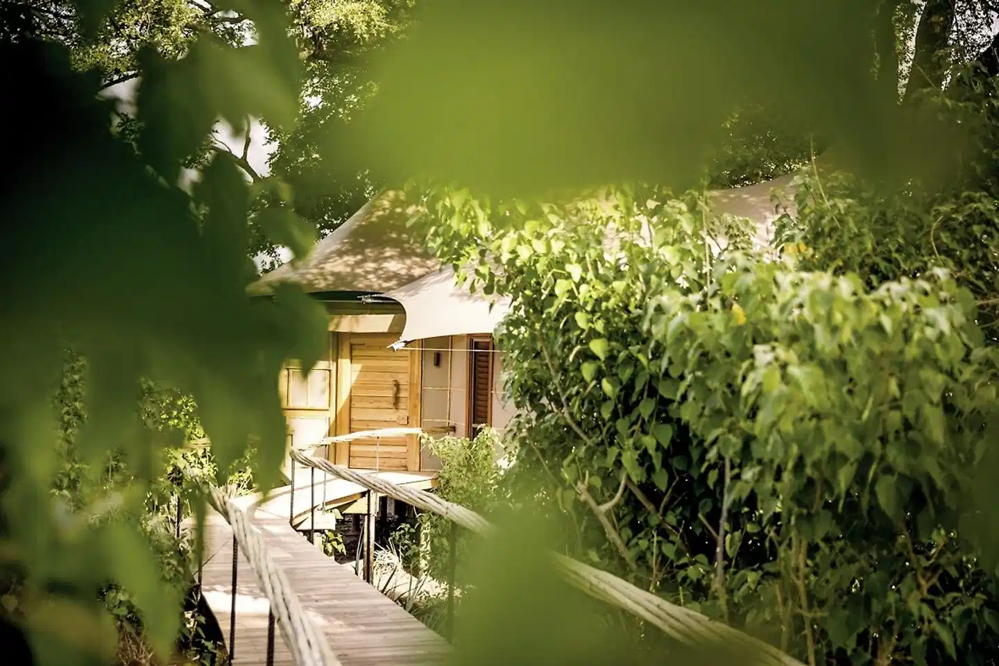 Wilderness Little Mombo Camp Terrasse