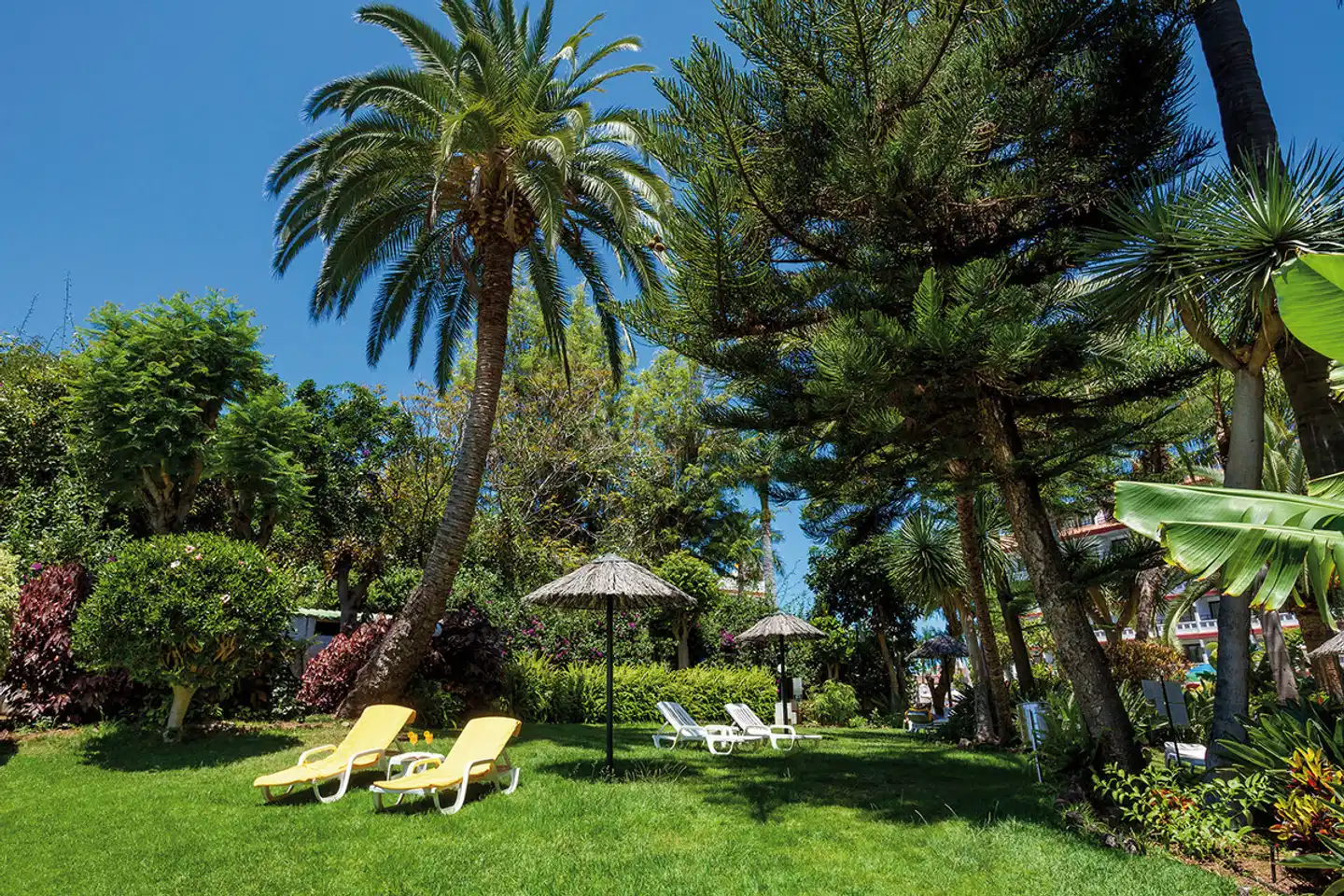 Apartamentos Masaru Garten