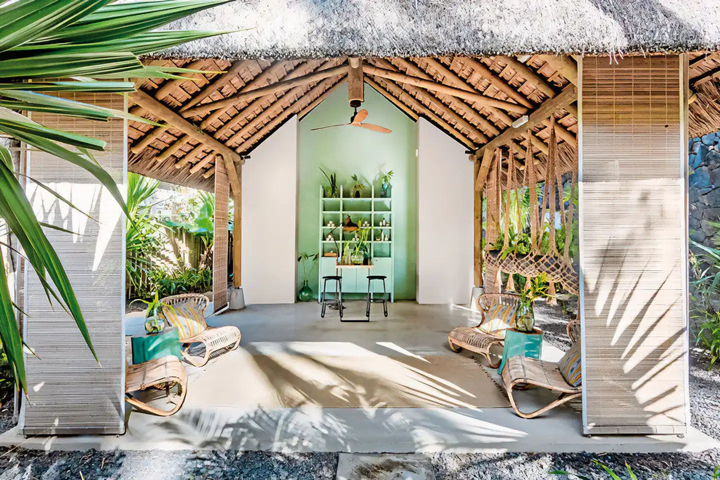 Tropical Attitude Wellness