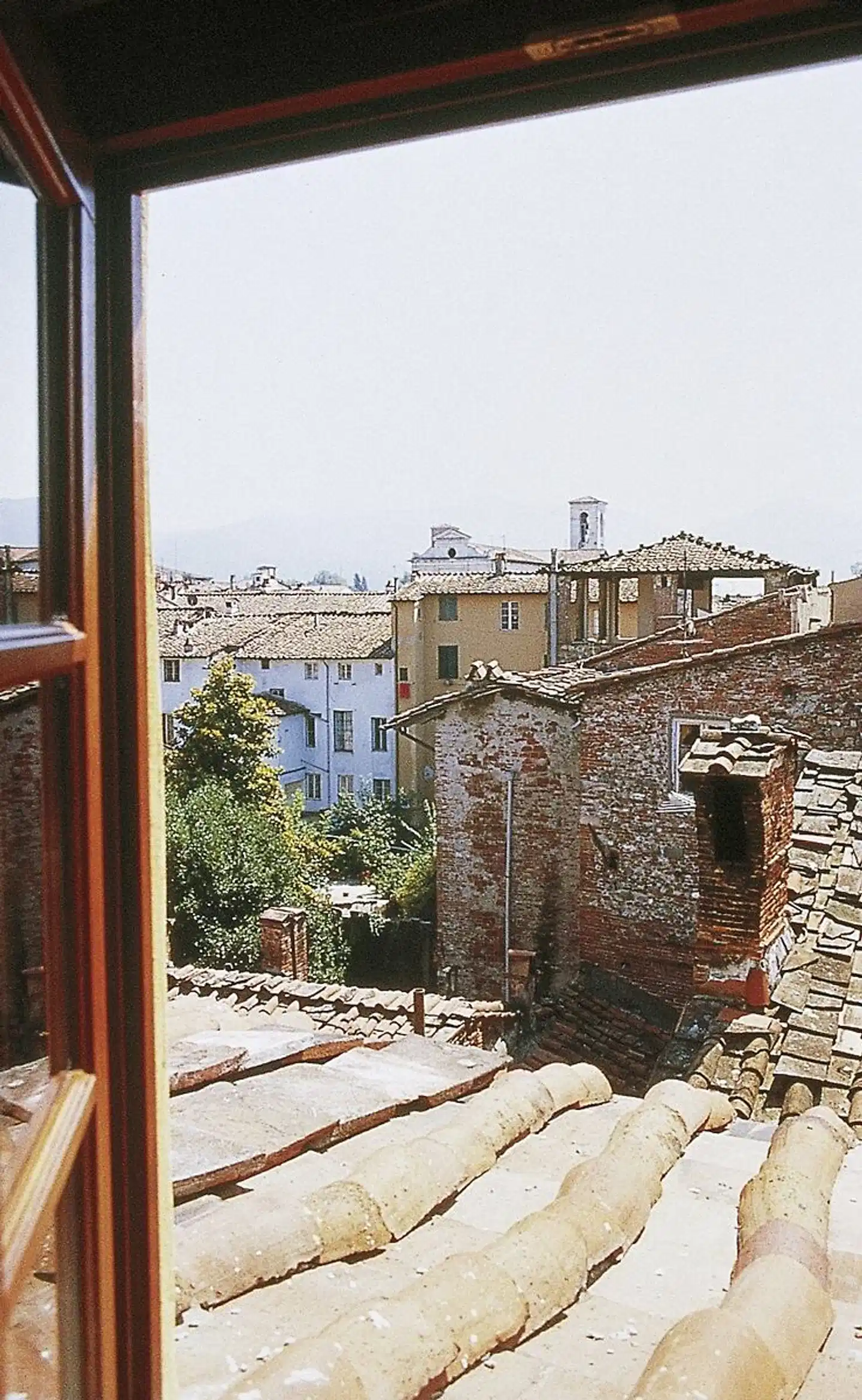 Palazzo Alexander Terrasse