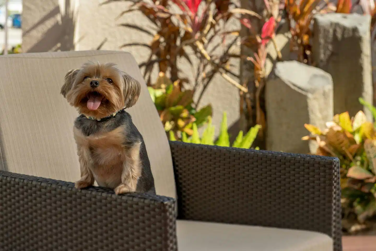 Residence Inn by Marriott Fort Lauderdale Airport & Cruise Port Personen