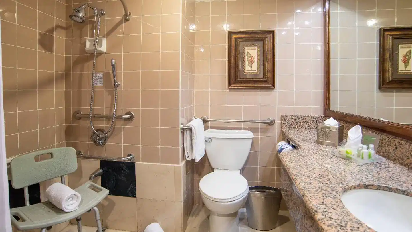 Delta Hotels by Marriott San Jose Aurola Badezimmer