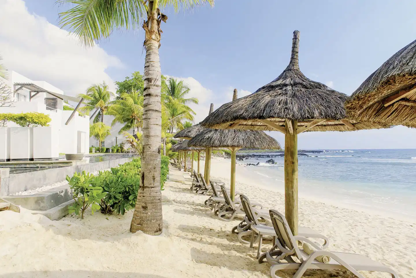 Recif Attitude Strand