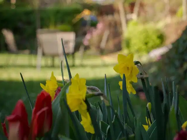 Jagelló Business Hotel Tiere