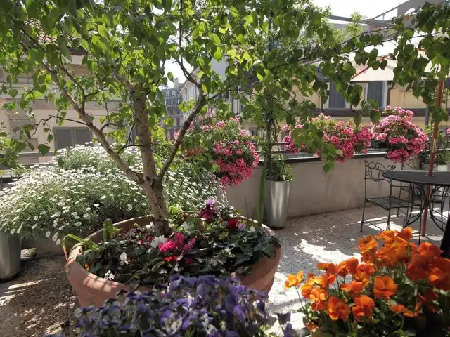 Antica Locanda Dei Mercanti Terrasse