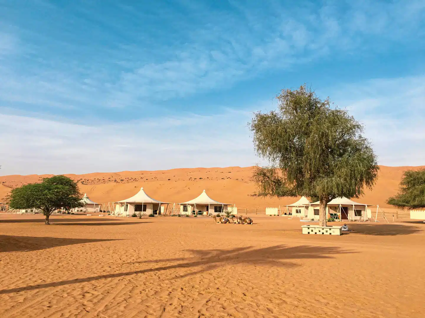 Desert Nights Resort Strand