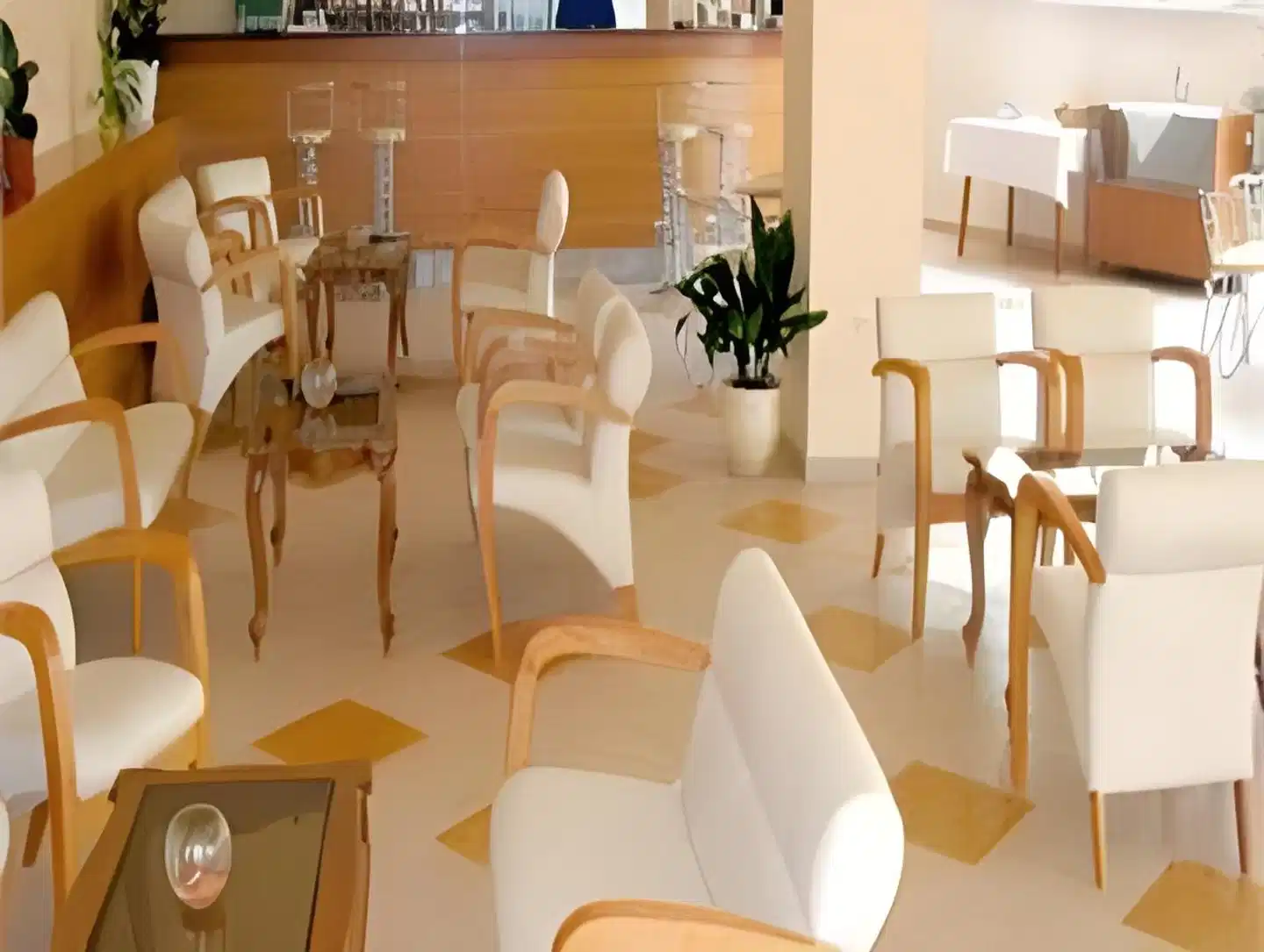 Madara Park Hotel Restaurant