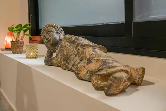 Sercotel Playa Canteras Tiere