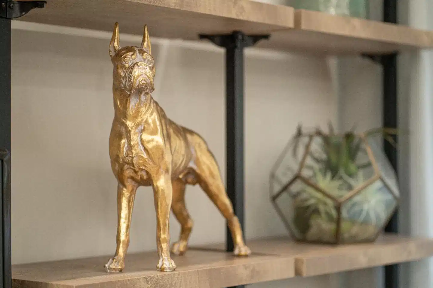 Club Meeting Hotel Tiere