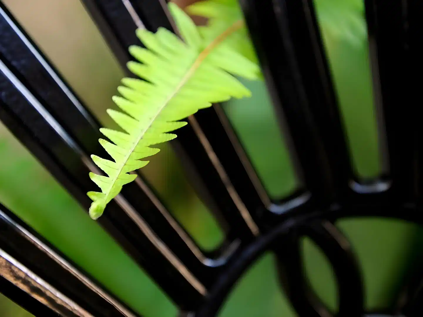 Bayside Guesthouse Garten