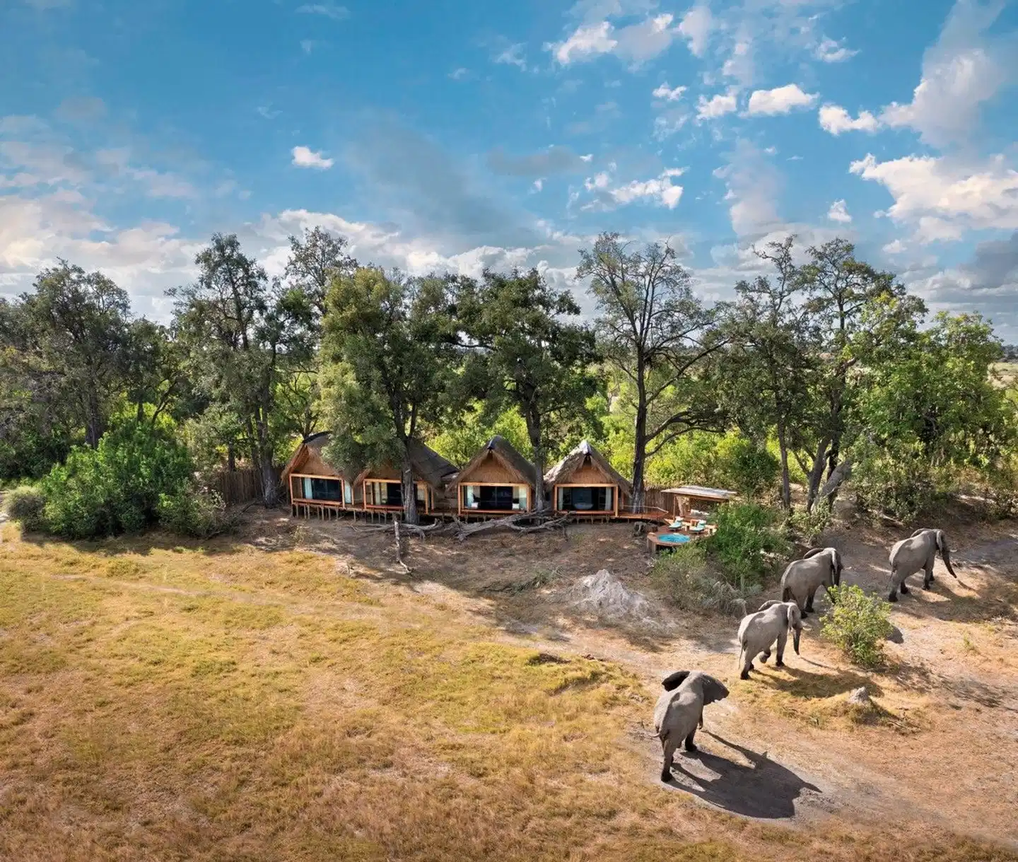 Natural Selection Tawana Camp Tiere