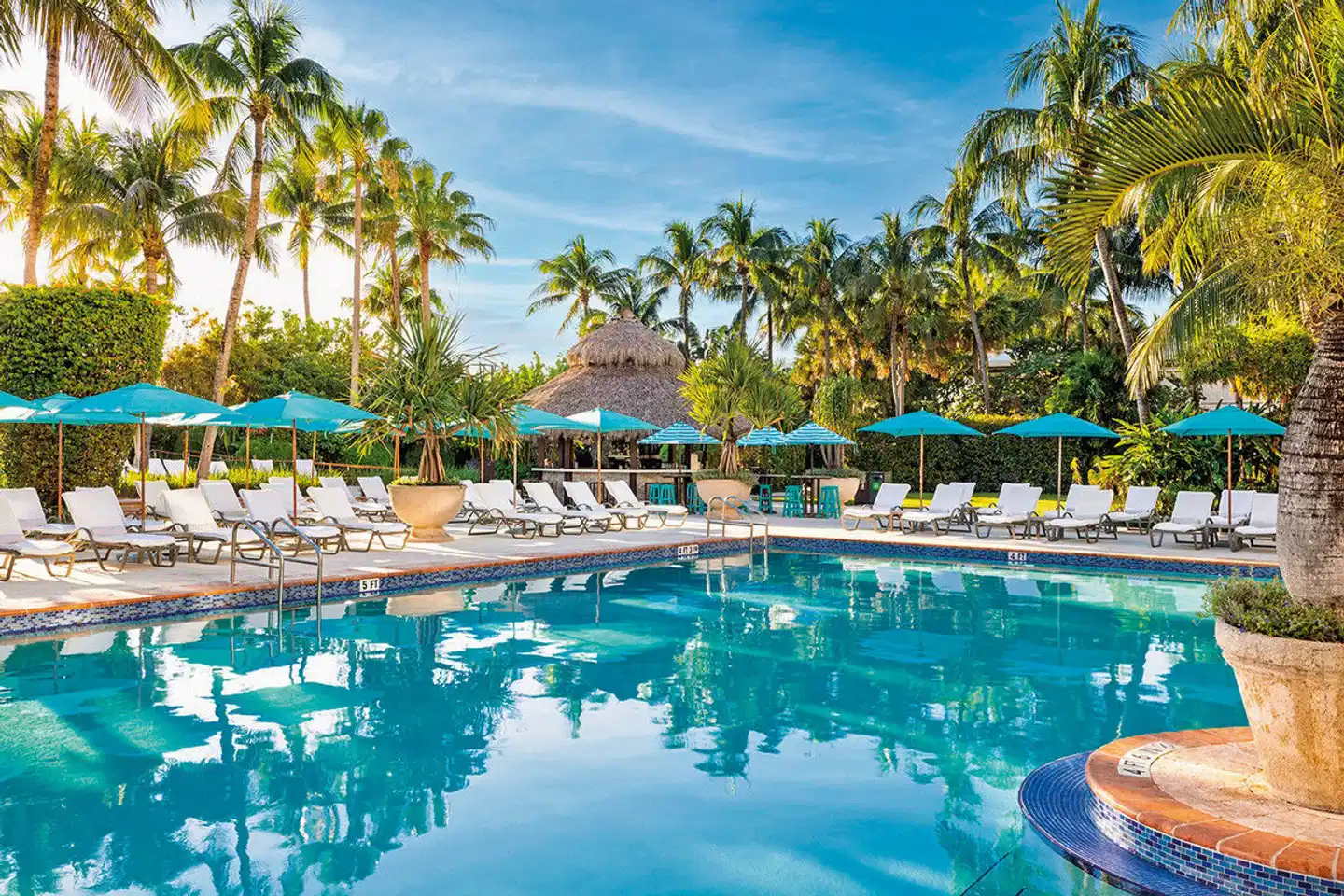 The Palms Hotel & Spa Pool