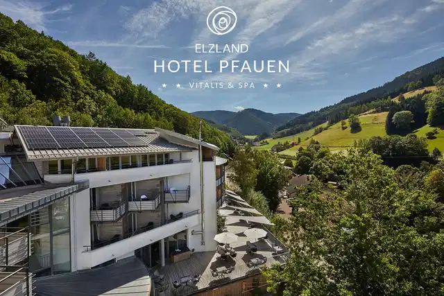 ElzLand Hotel Pfauen WELLNESS, SPA & VITALIS HOTEL Aussenansicht