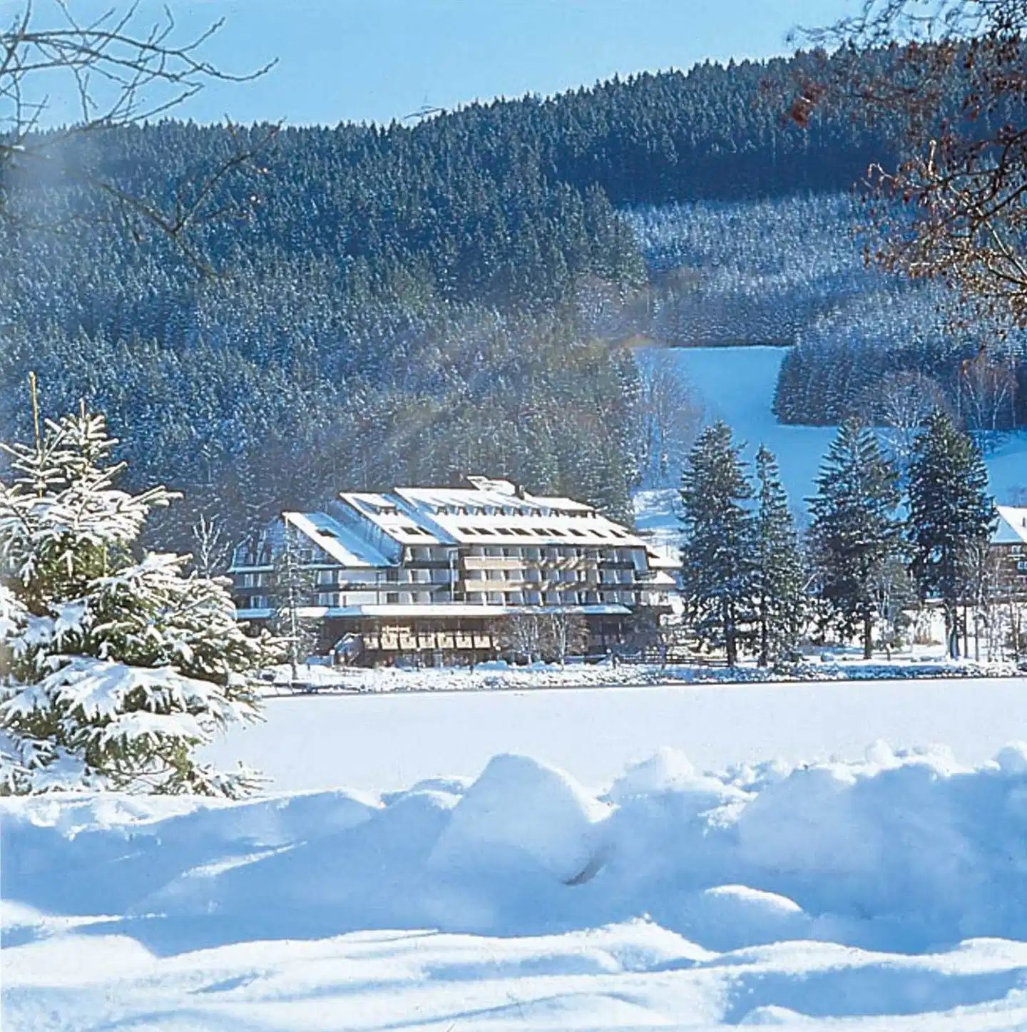 Maritim TitiseeHotel Titisee-Neustadt Aussenansicht