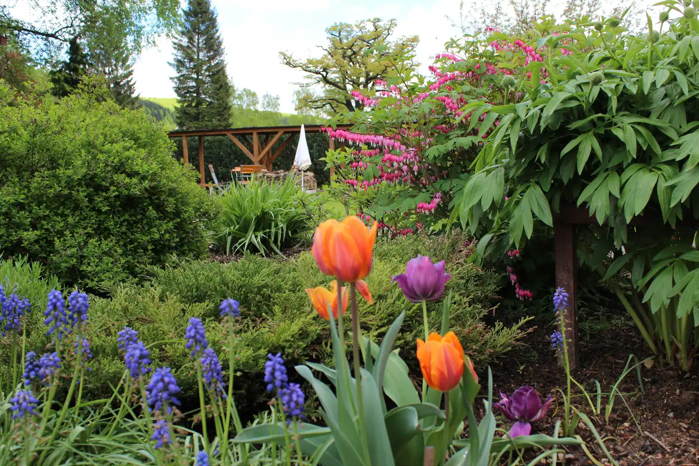 Saigerhütte Landschaft