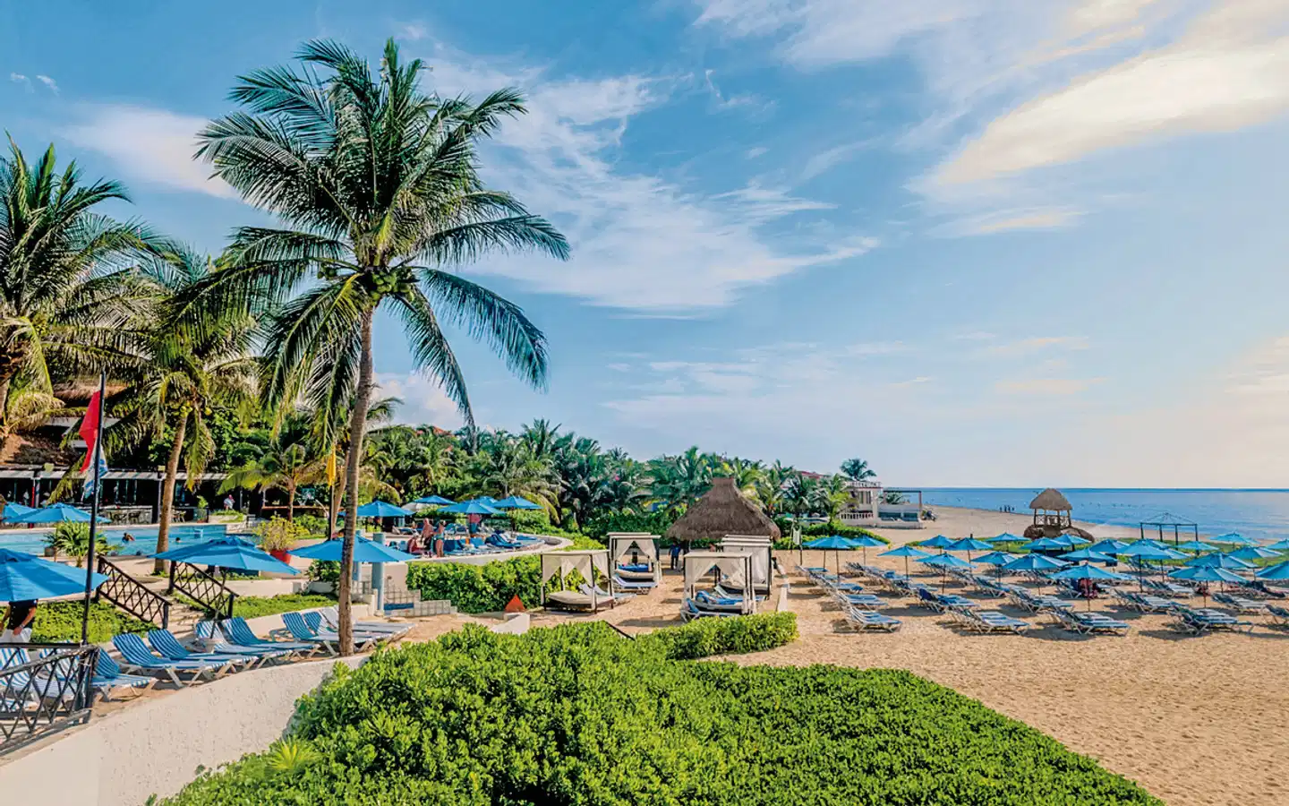 The Reef Playacar Garten