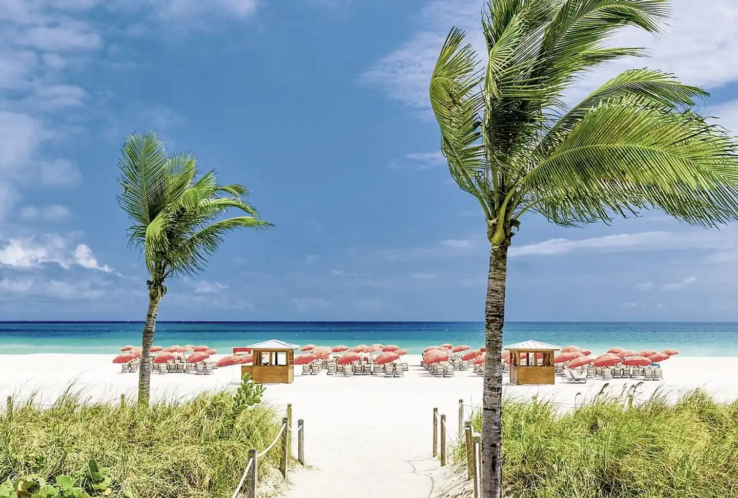 Royal Palm Miami Strand