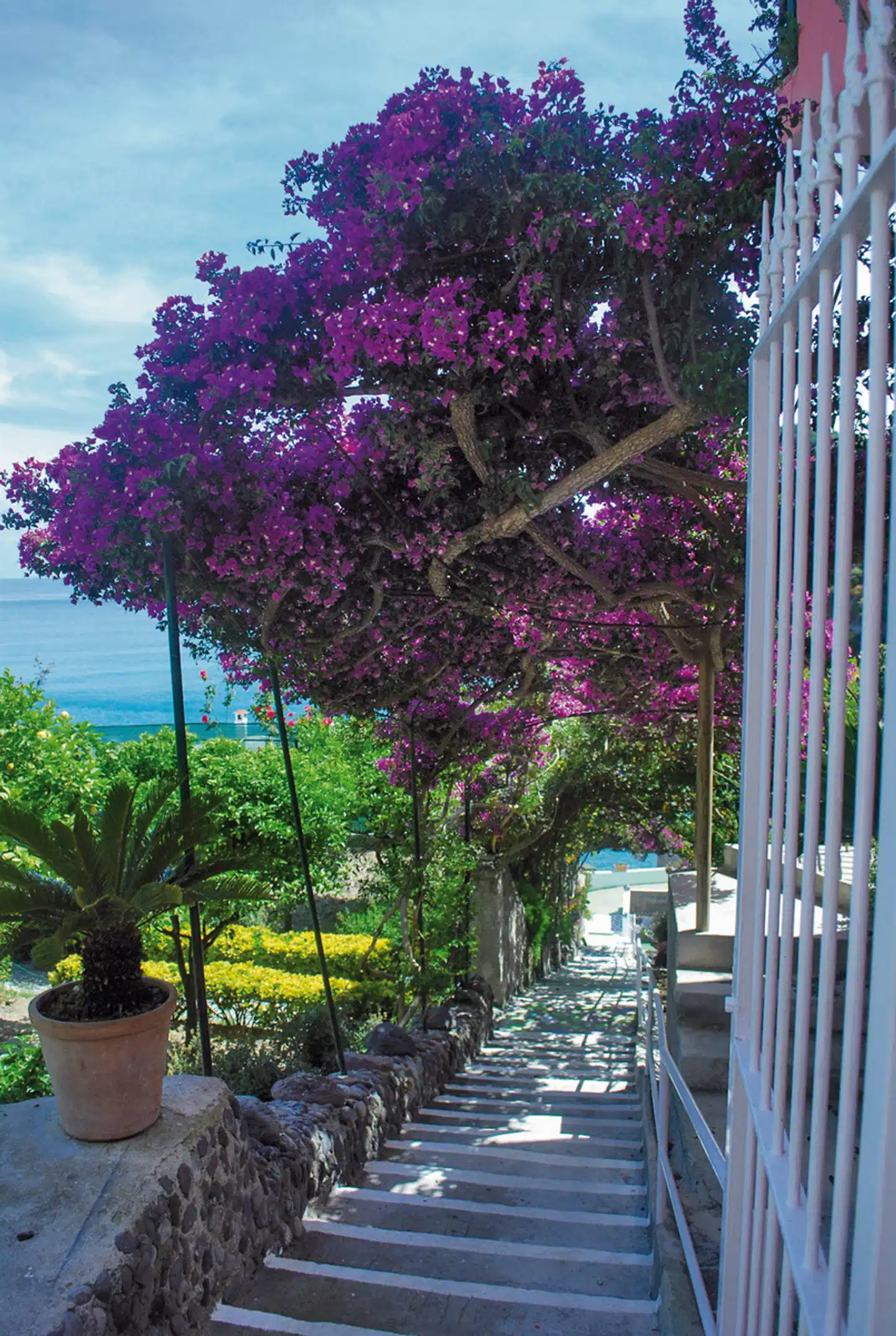 Casa Rosa Terme Garten