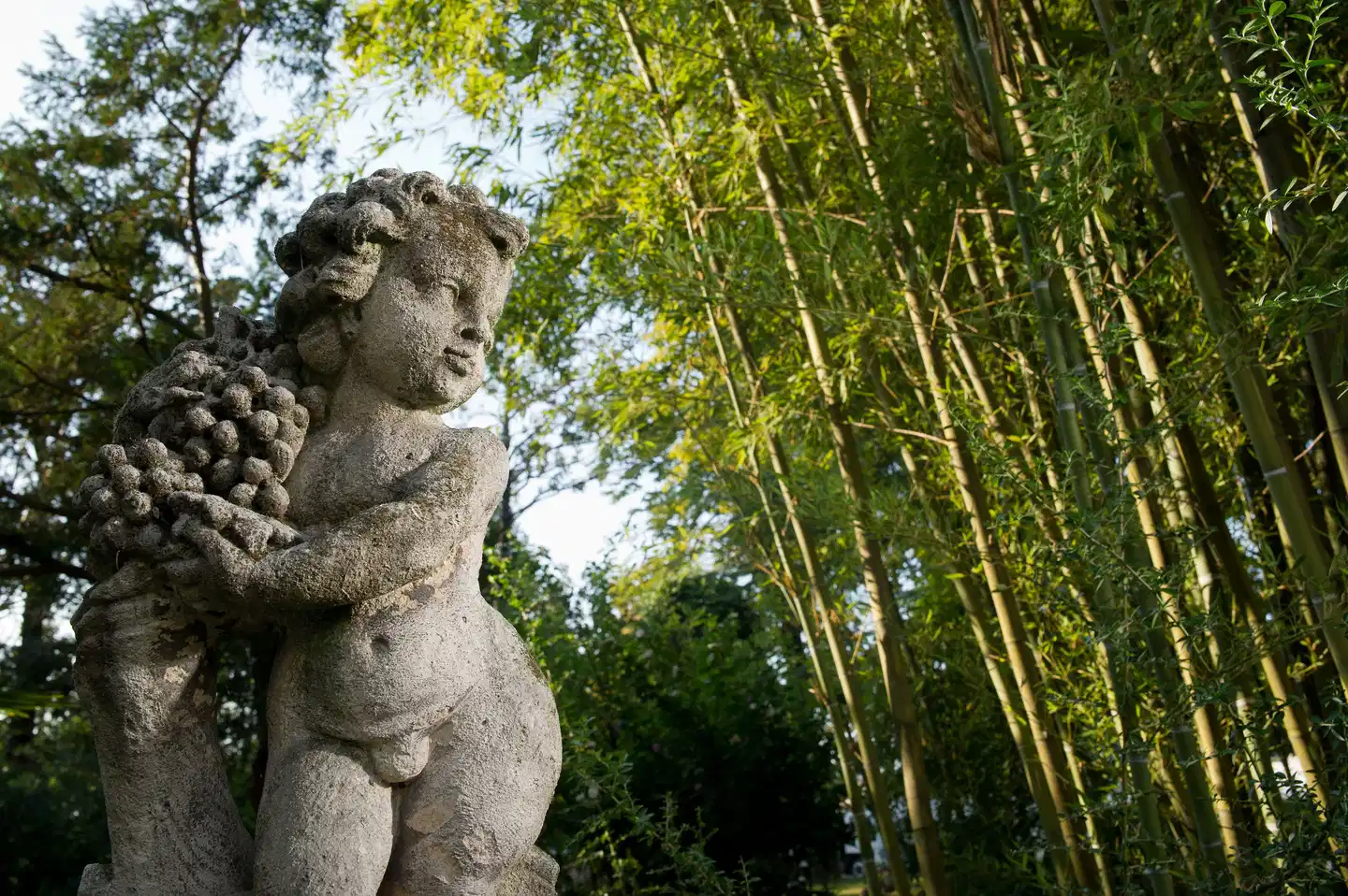 Villa Pace Park Hotel Bolognese Tiere