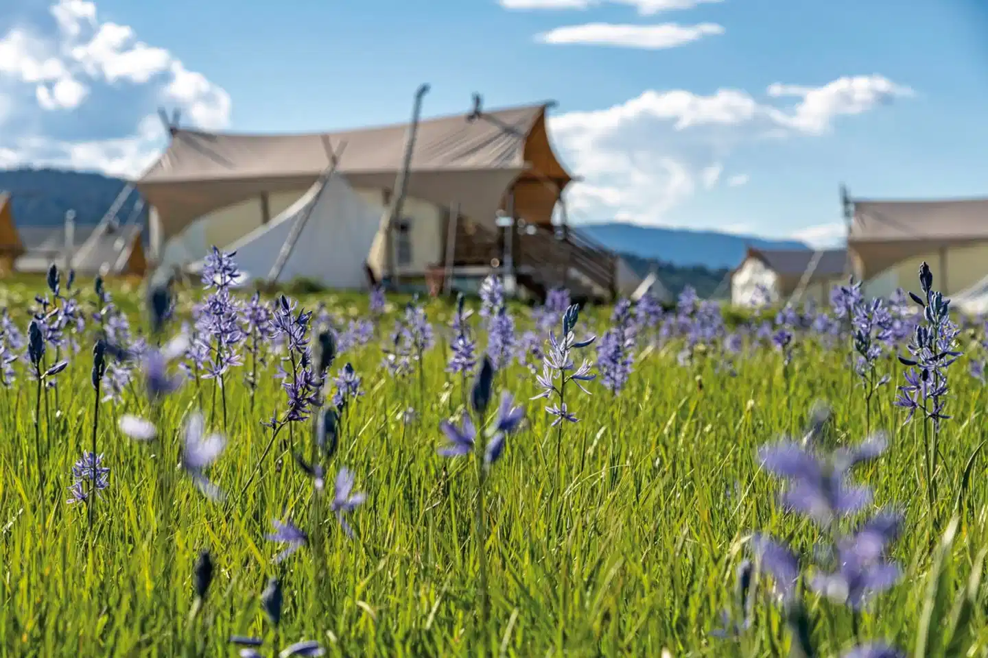 Under Canvas Yellowstone Aussenansicht