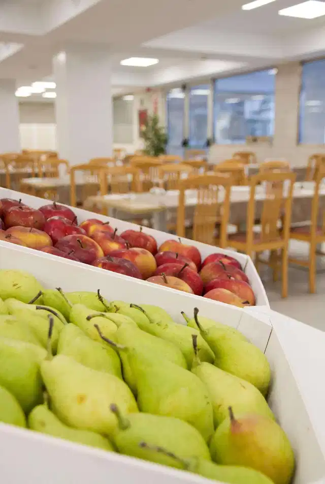 ALEGRIA Fenals Mar Restaurant