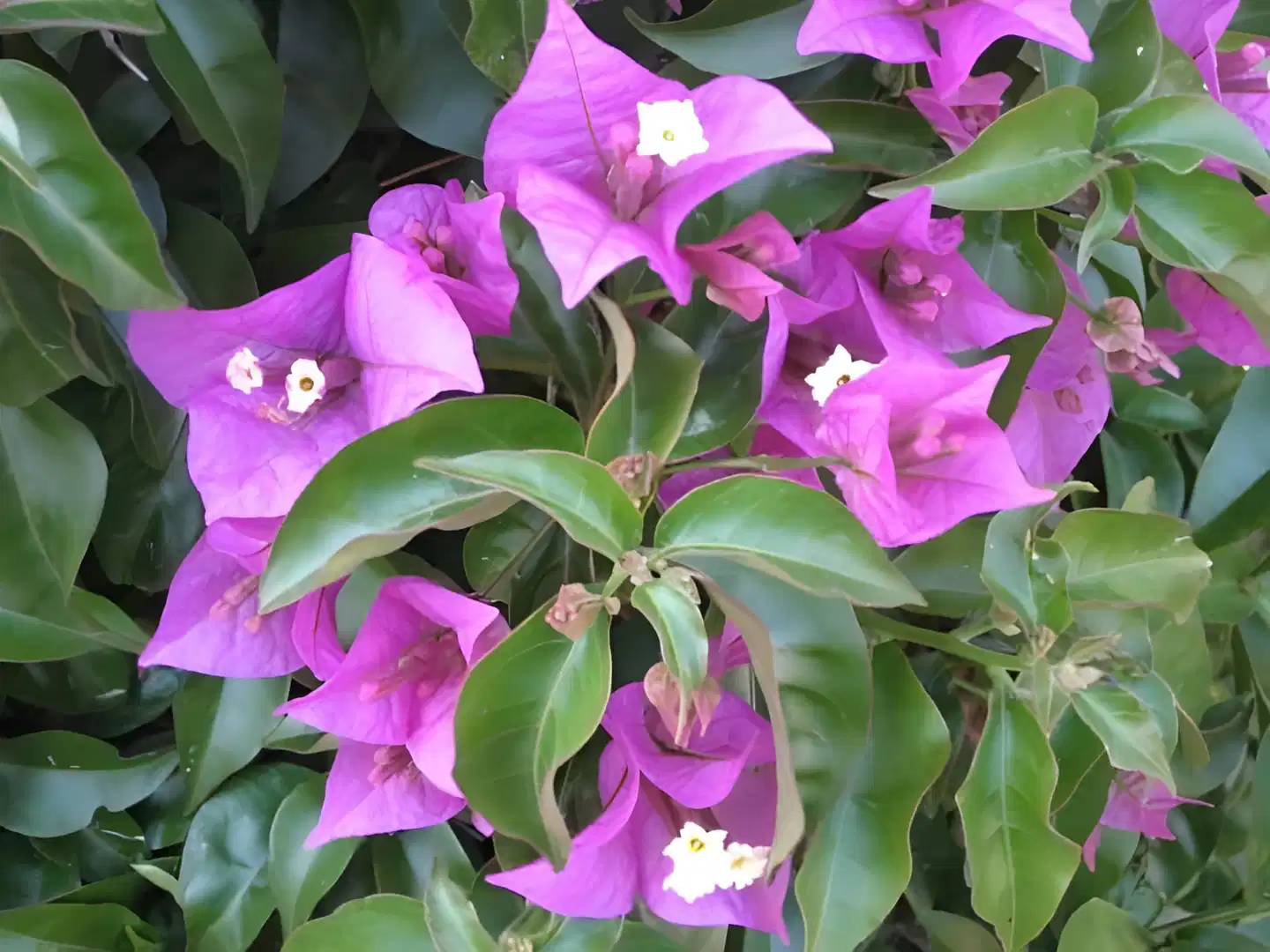 Villa San Giuseppe Landschaft