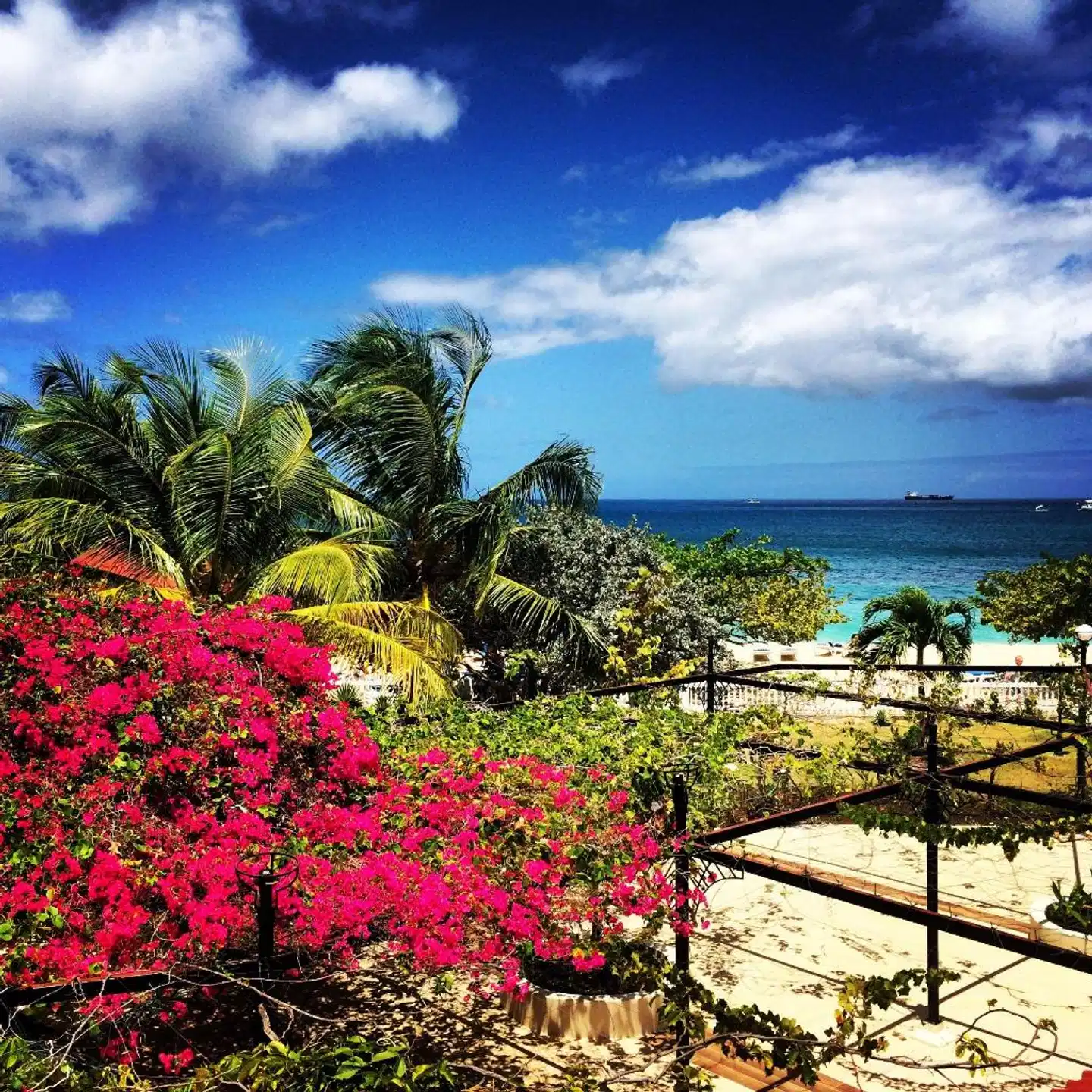 Radisson Grenada Beach Resort Garten