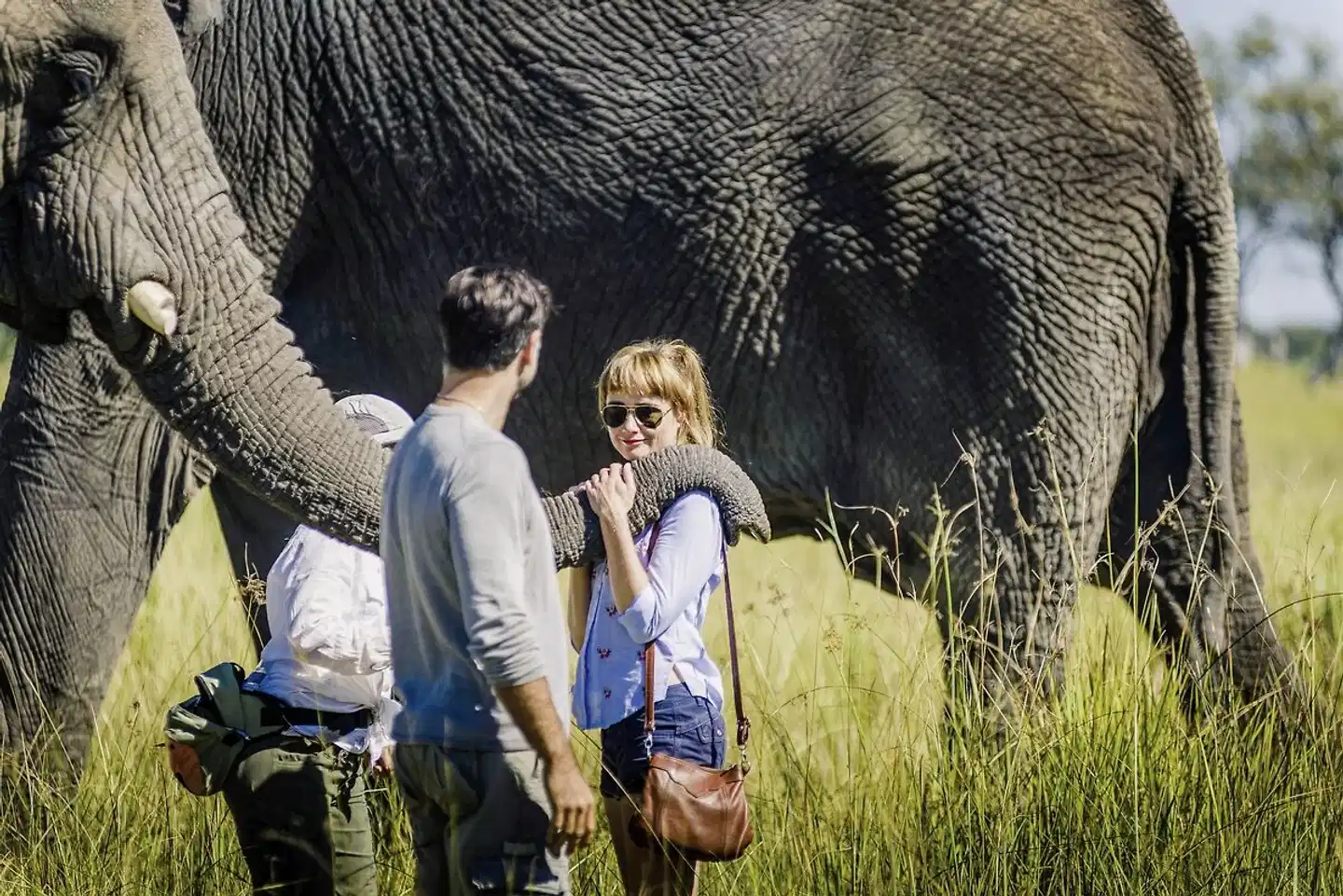 Sanctuary Stanley's Camp Tiere