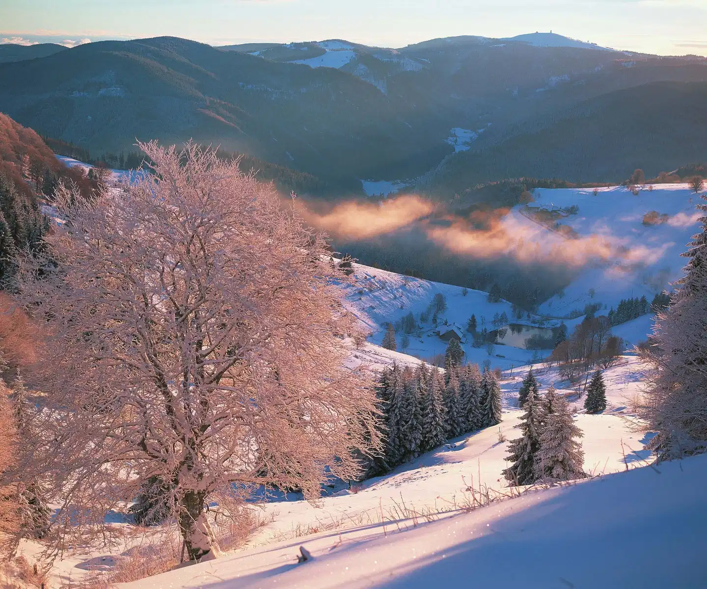 Hotel Hofgut Sternen Landschaft
