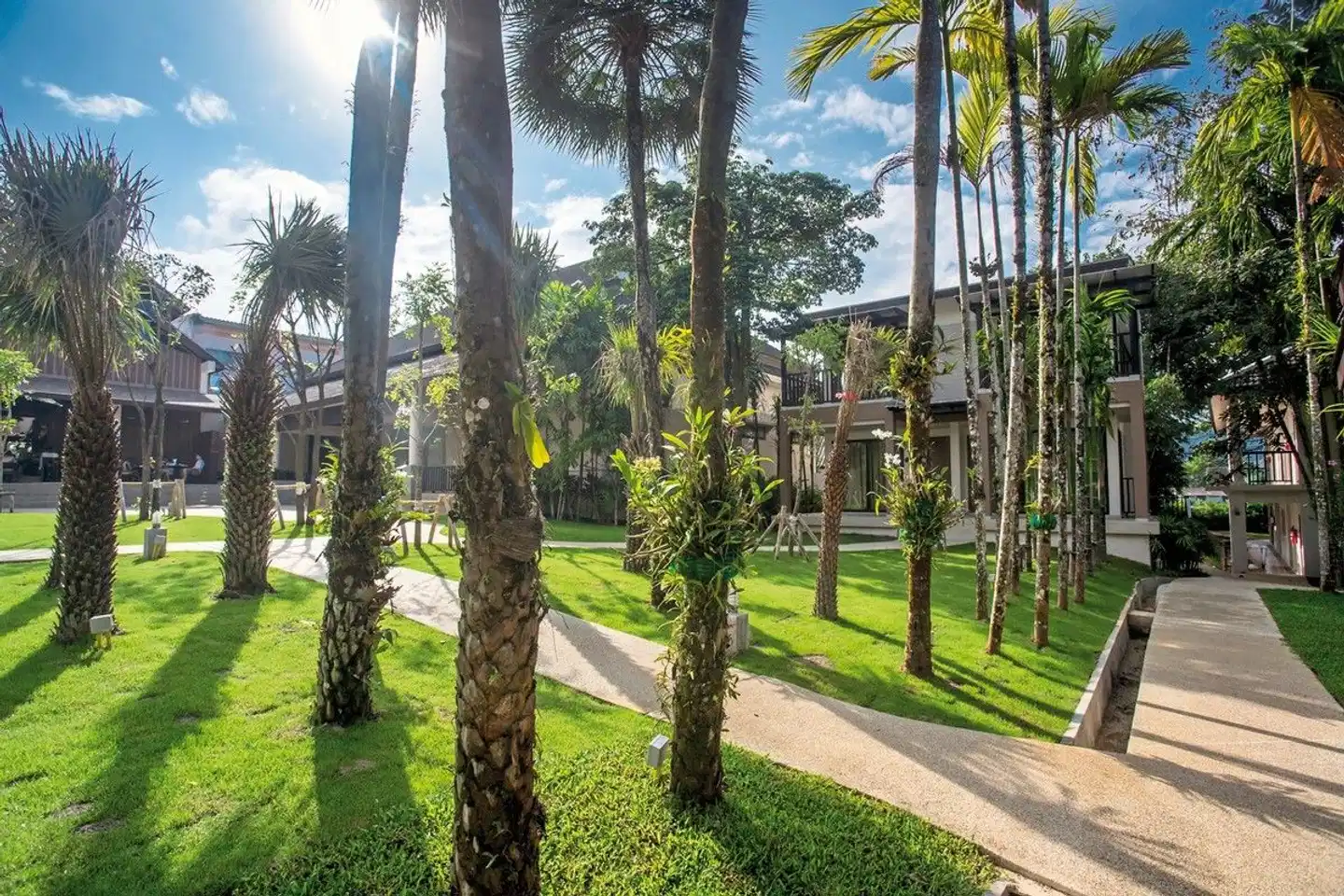 The Leaf on the Sands by Katathani Garten