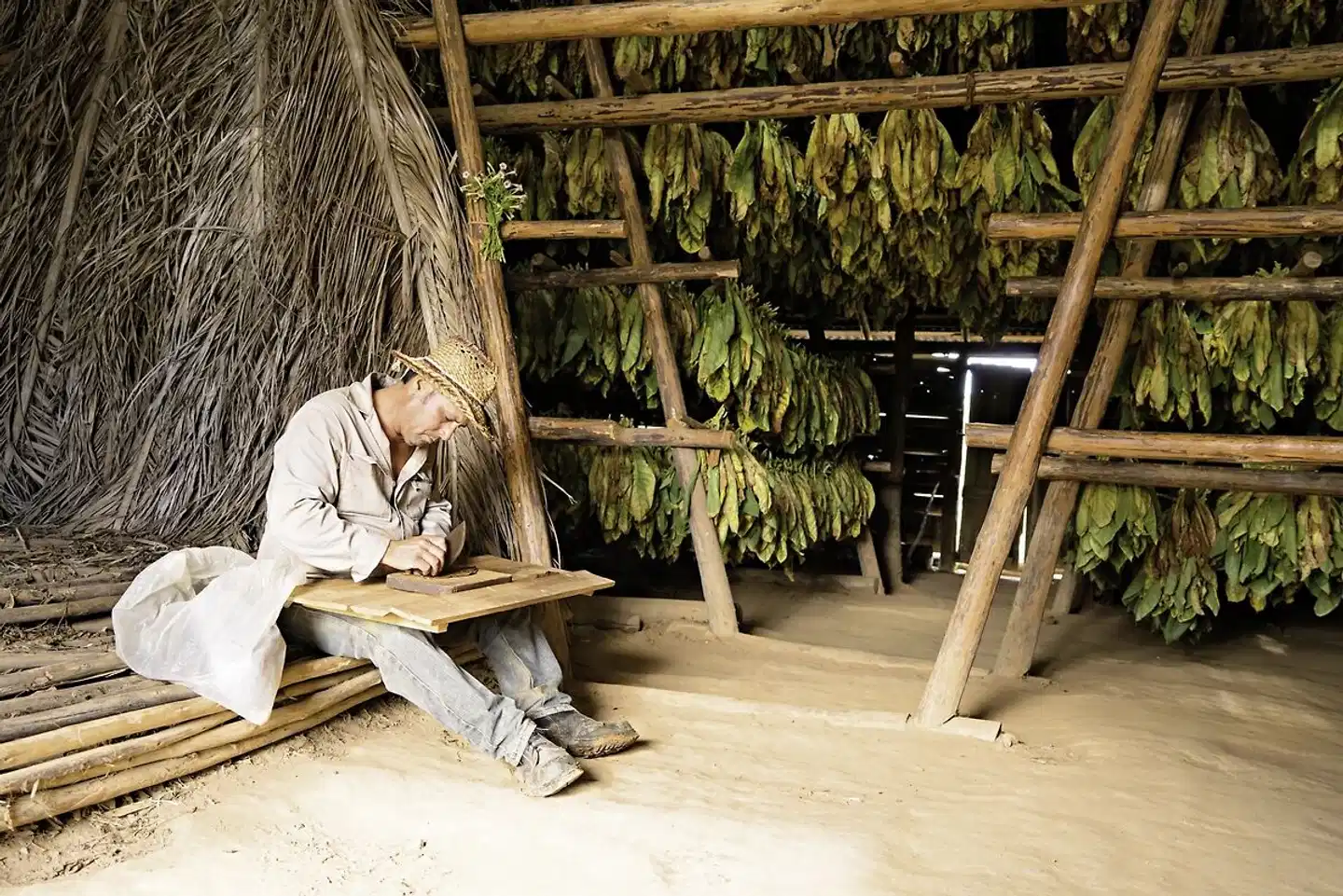 A lo Cubano Wellness