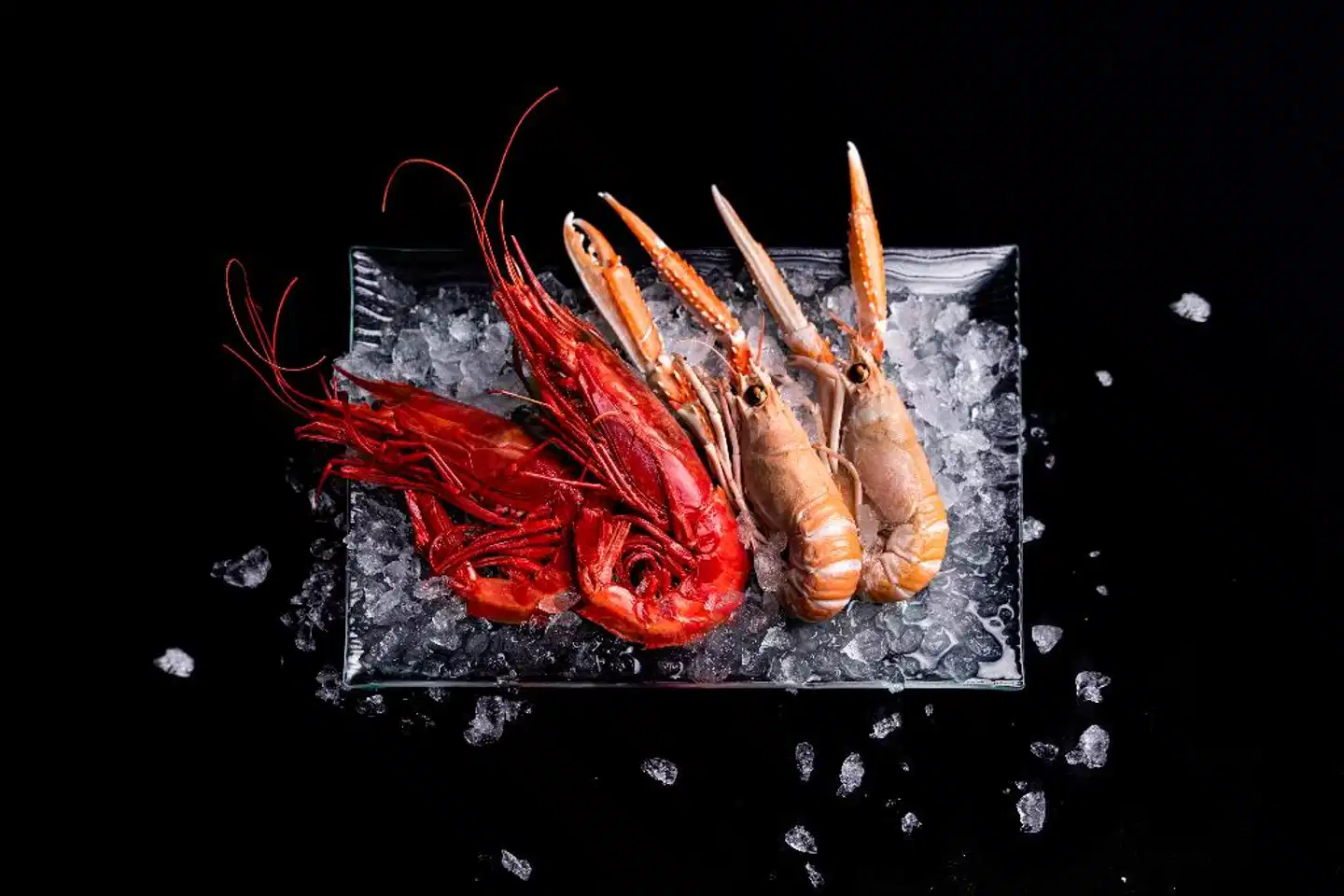 InterContinental Madrid Tiere