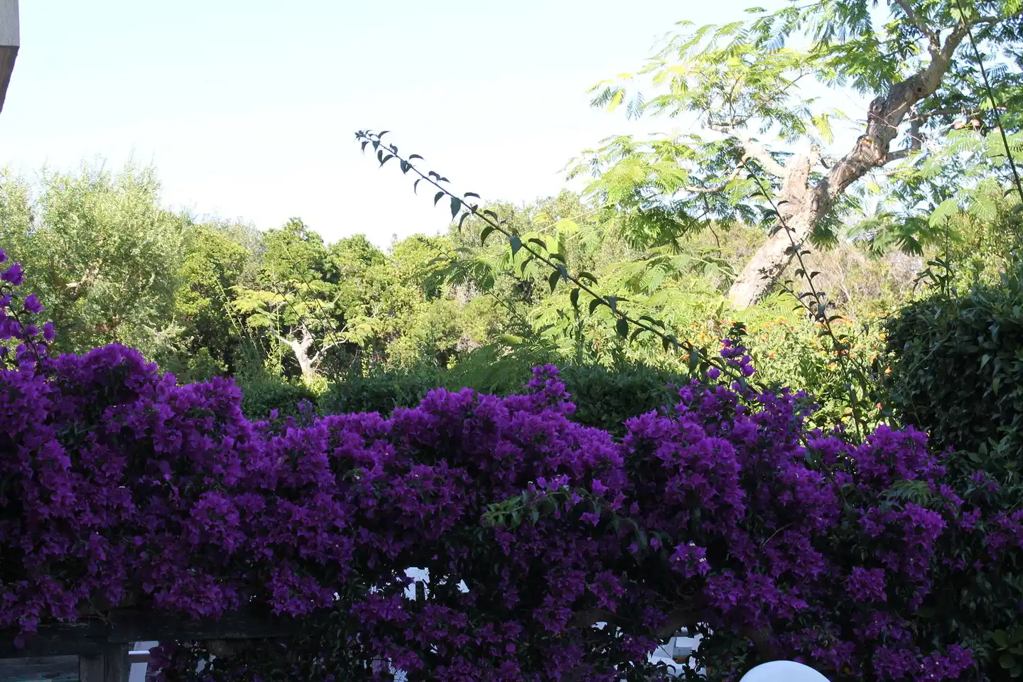 Residence Altair - Serra Degli Alimini 3 Landschaft