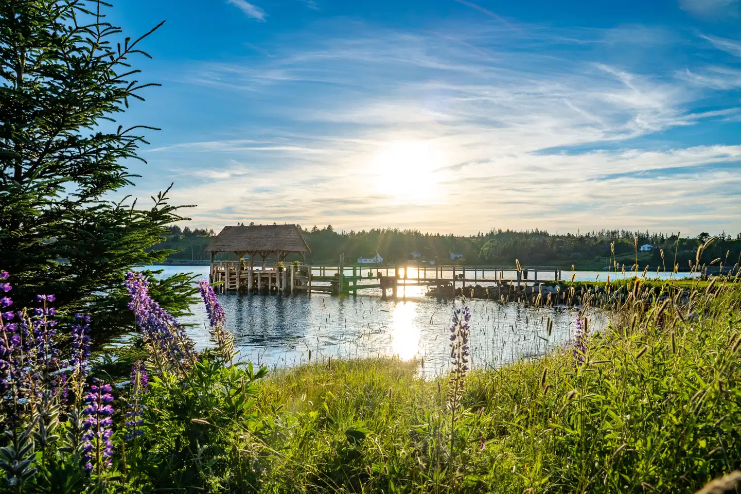 The Marmalade Motel Strand