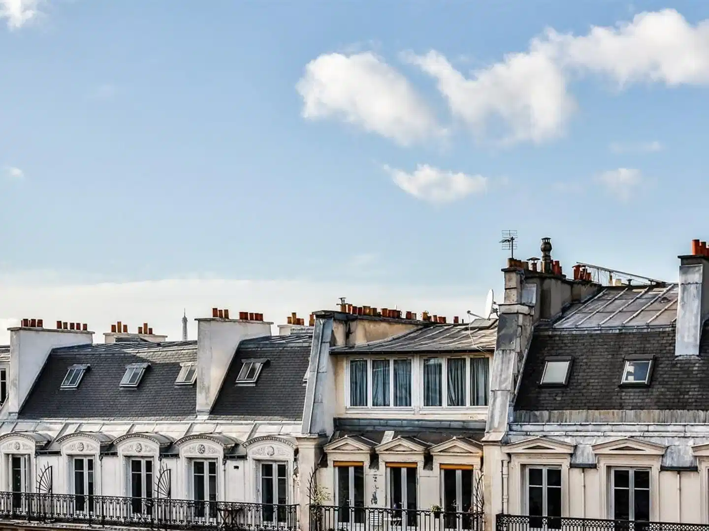 BLUE NIGHT INTERNATIONAL 110 Aussenansicht