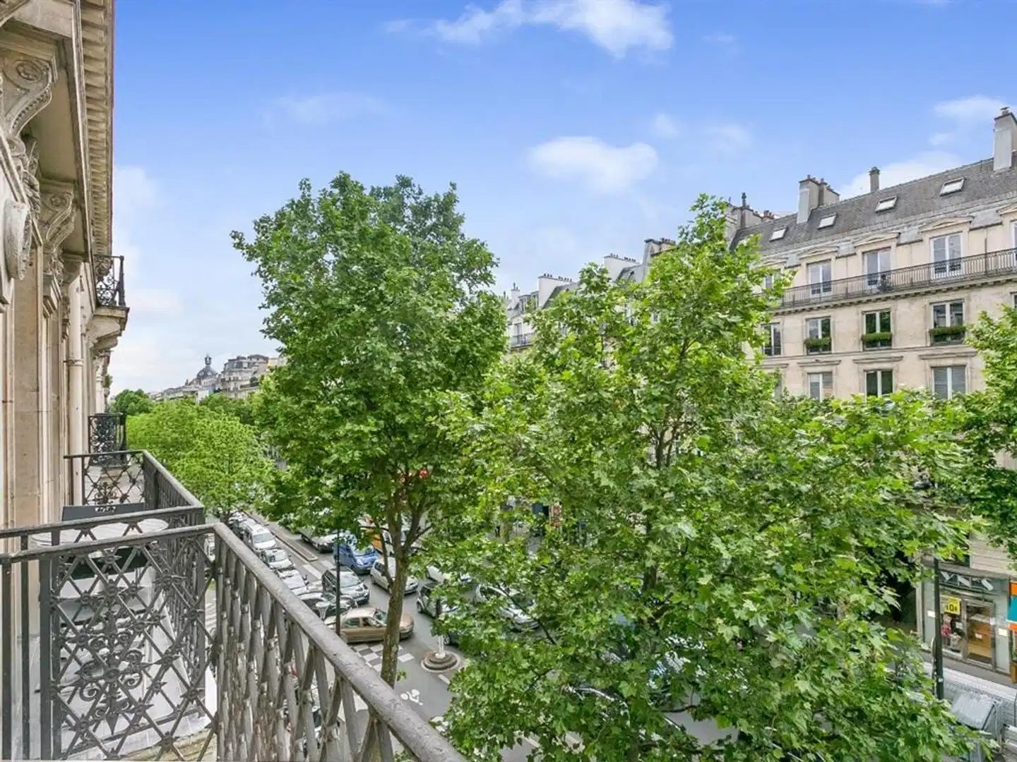 BLUE NIGHT INTERNATIONAL 110 Landschaft