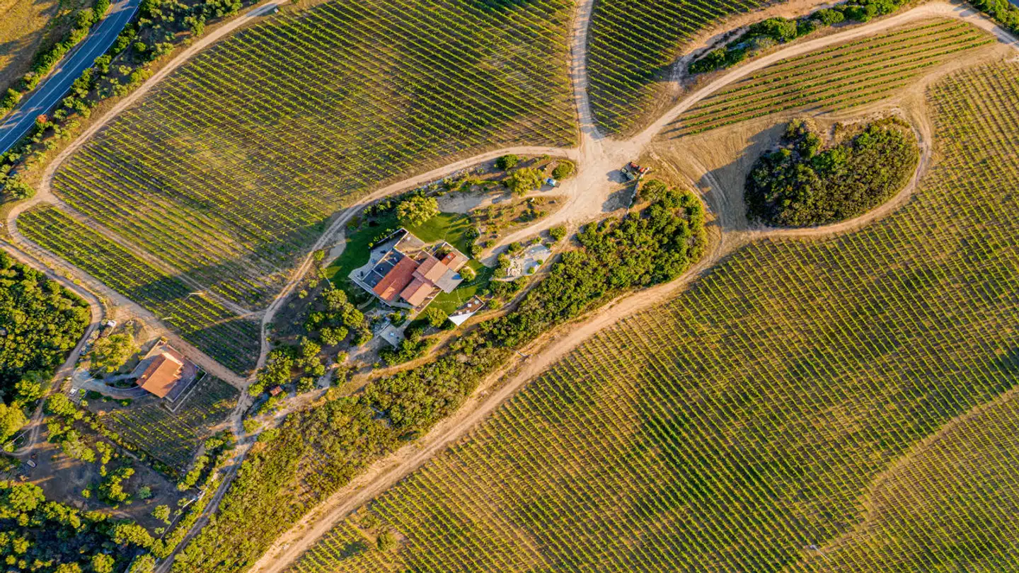 Tenuta Petra Bianca Landschaft