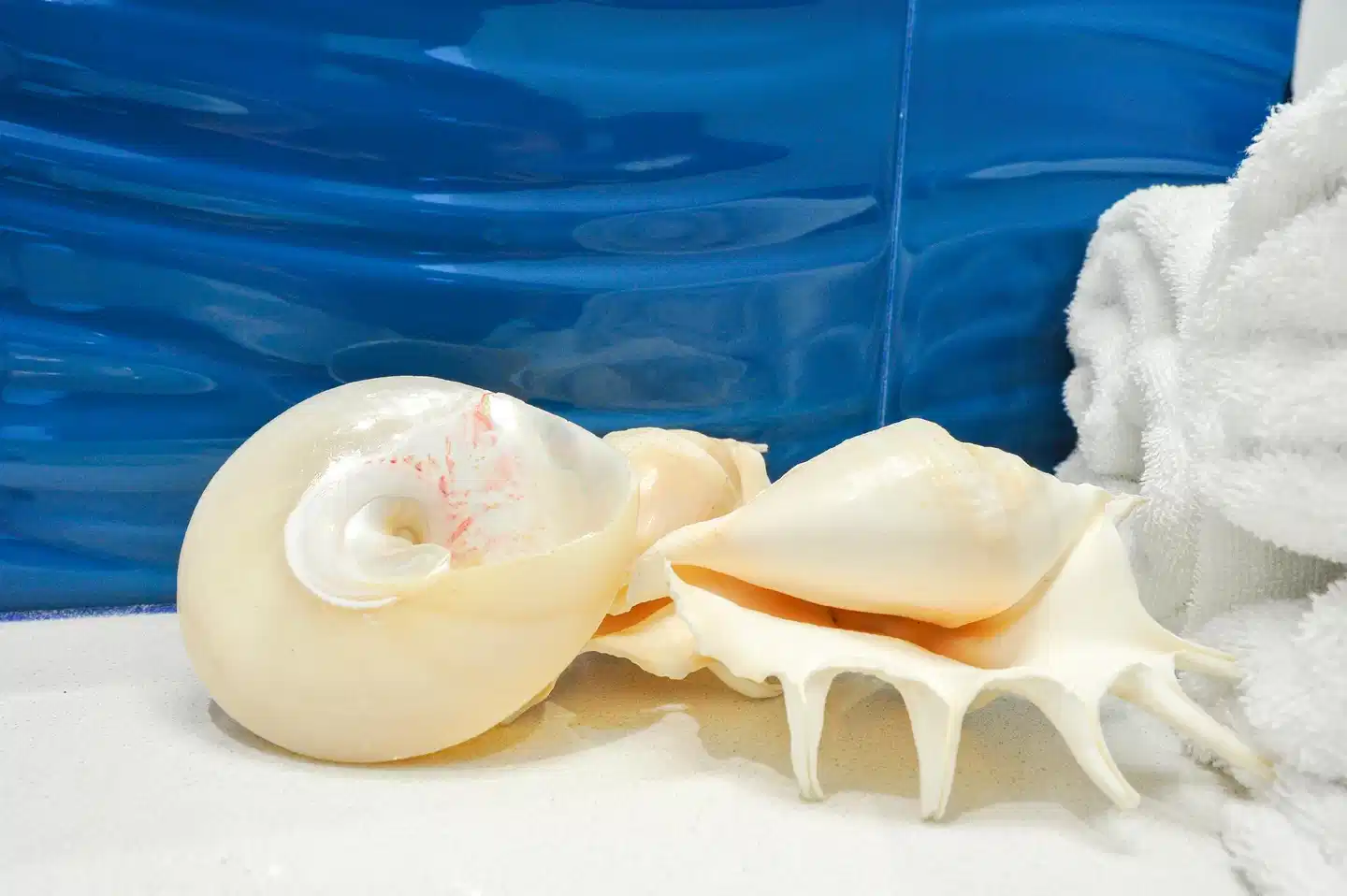 SORRENTOBAY Wellness