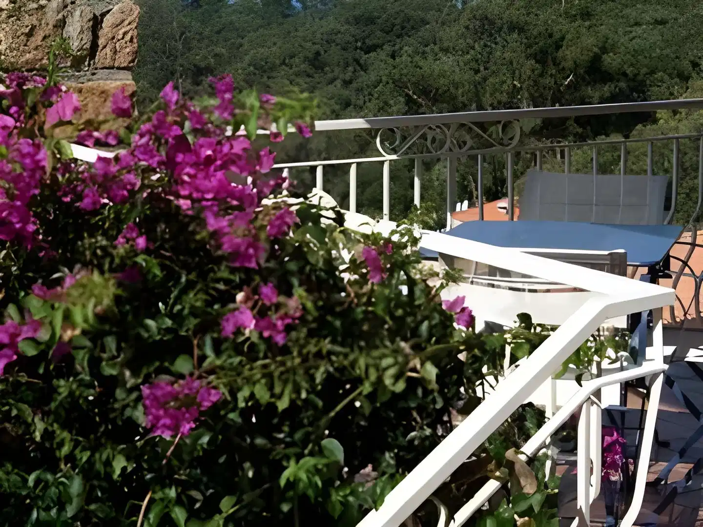 Hôtel Capo D'orto Terrasse