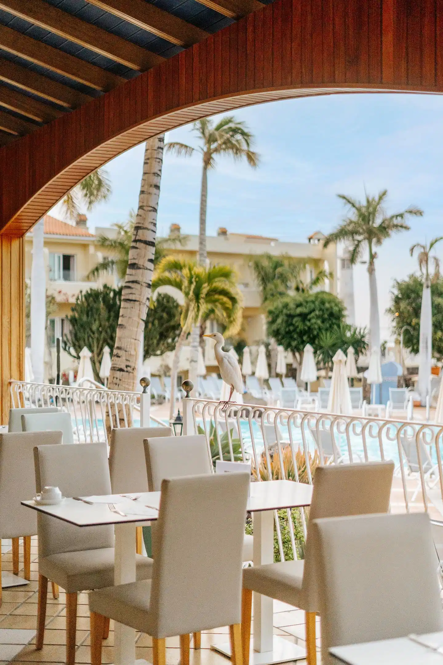 R2 Buganvilla Hotel & Spa Terrasse