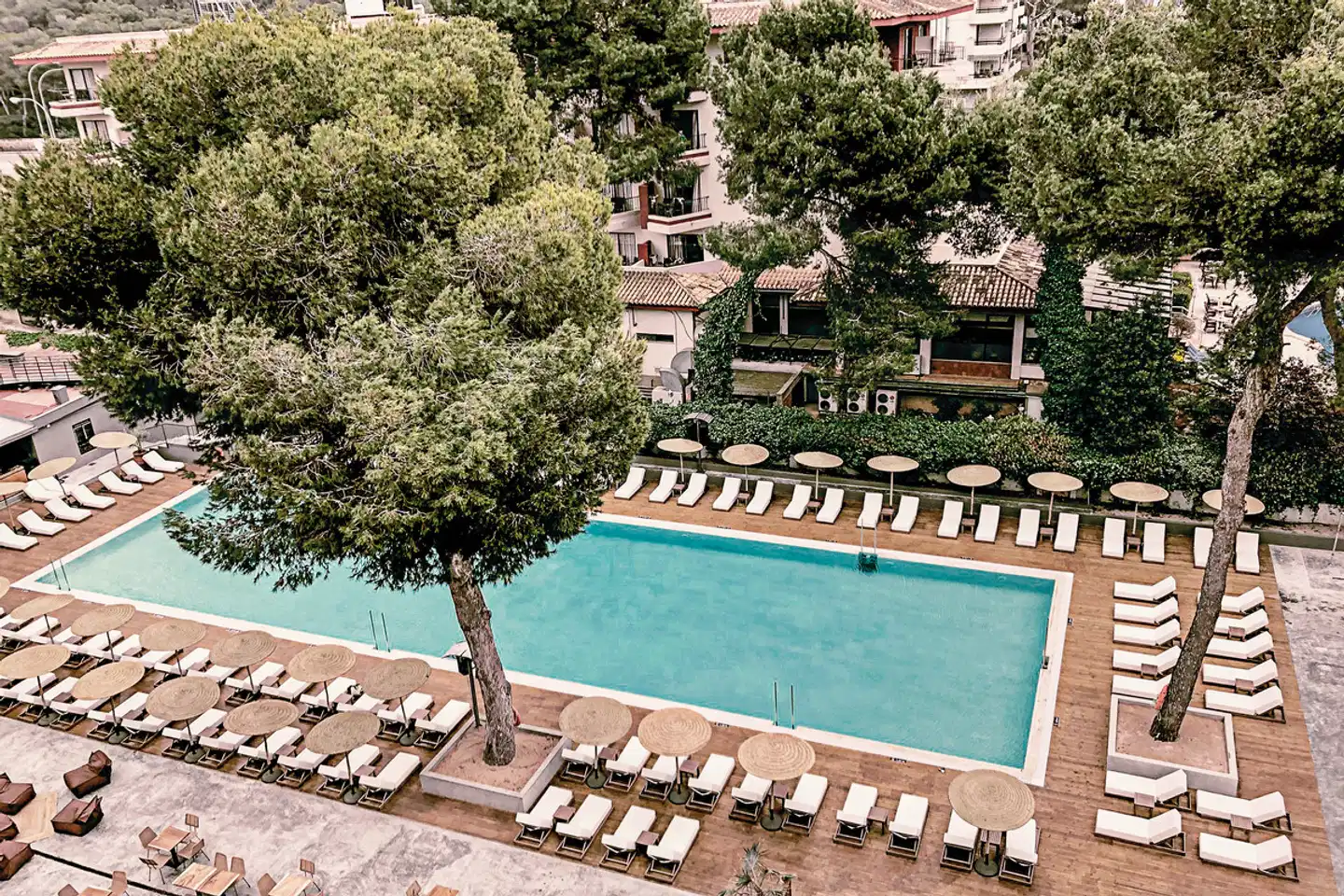 Caramelo Palma Beach Pool