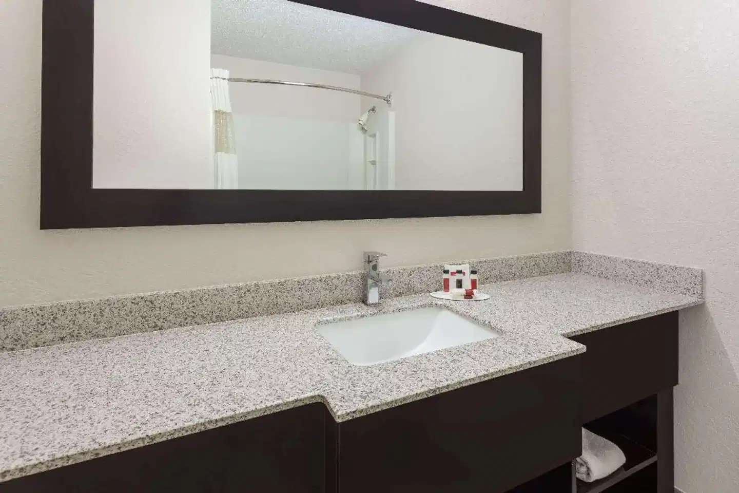 Ramada by Wyndham Asheville Southeast Badezimmer