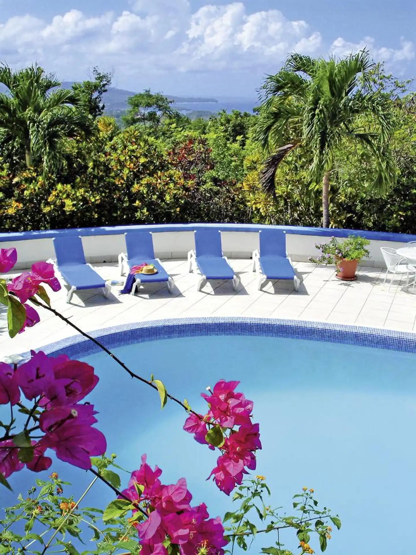 Mockingbird Hill Pool