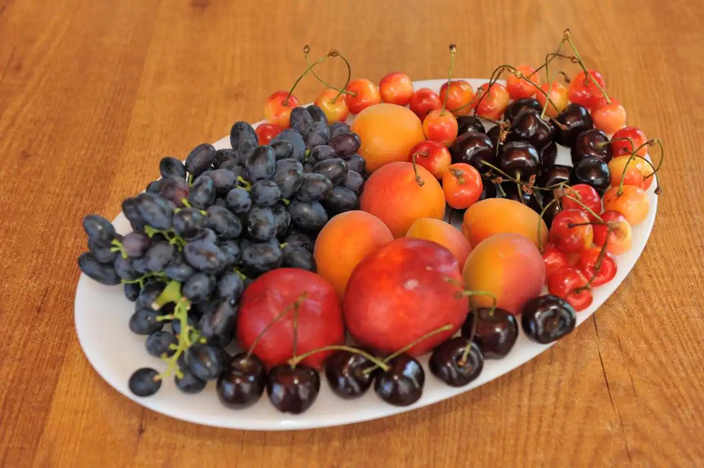 Maritime Hotel Apartments Tiere