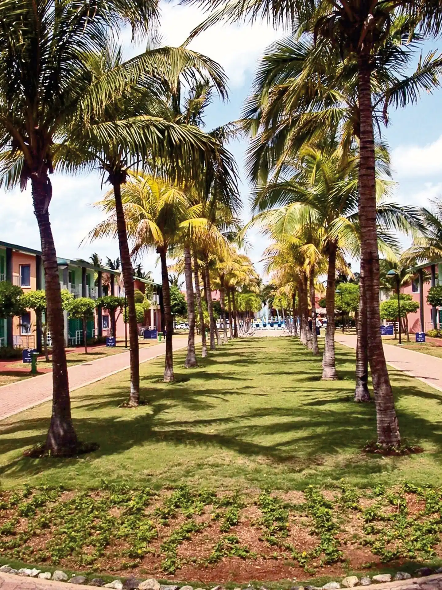 Sol Hicacos Varadero Garten