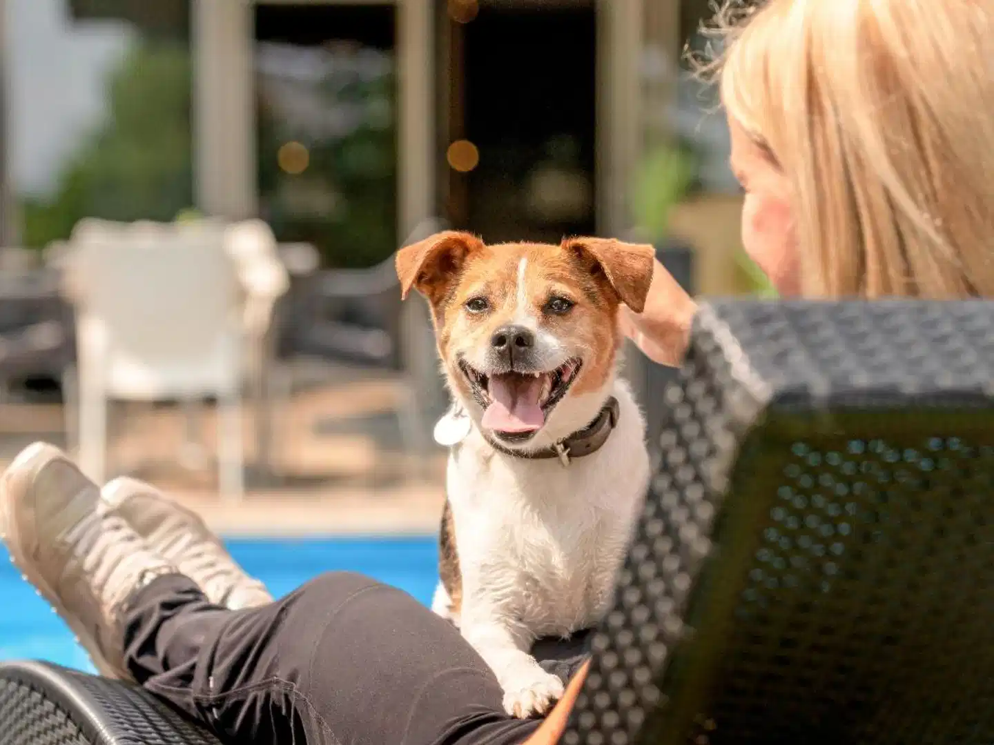 Mercure Hotel Aachen Europaplatz Tiere