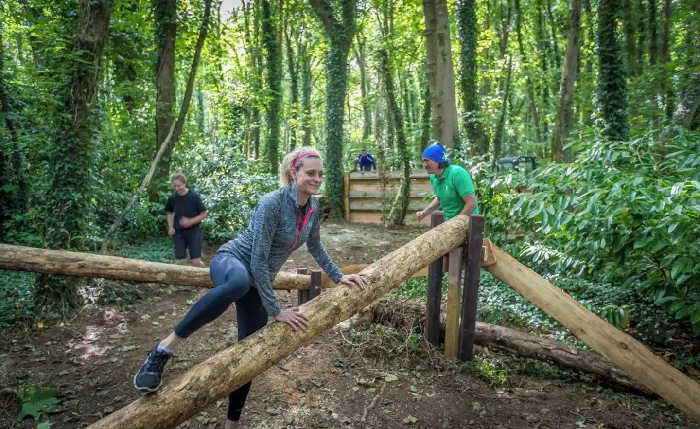 Fota Island Landschaft