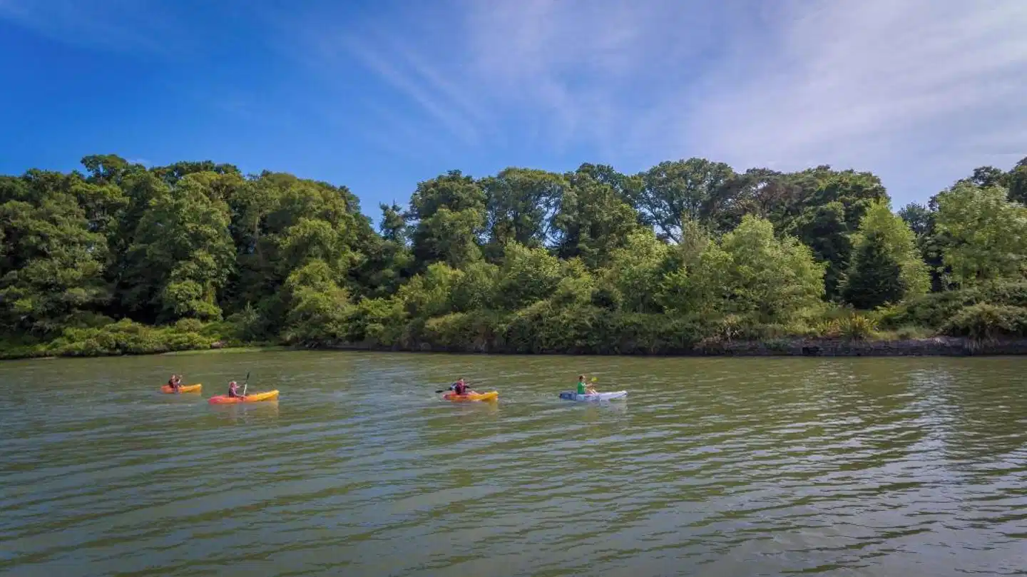 Fota Island Sport und Entertainment