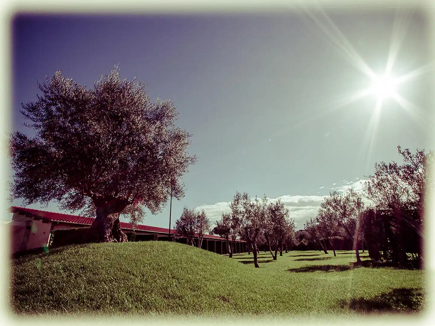 All Ways Garden Hotel & Leisure Garten